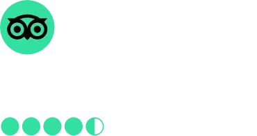 Trip Advisor